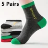 mix color-5pairs-200013901