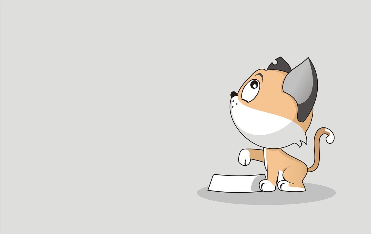 Super Bowl 2026: Patriots gegen Seahawks - TV-Übertragung und Stream-Infos