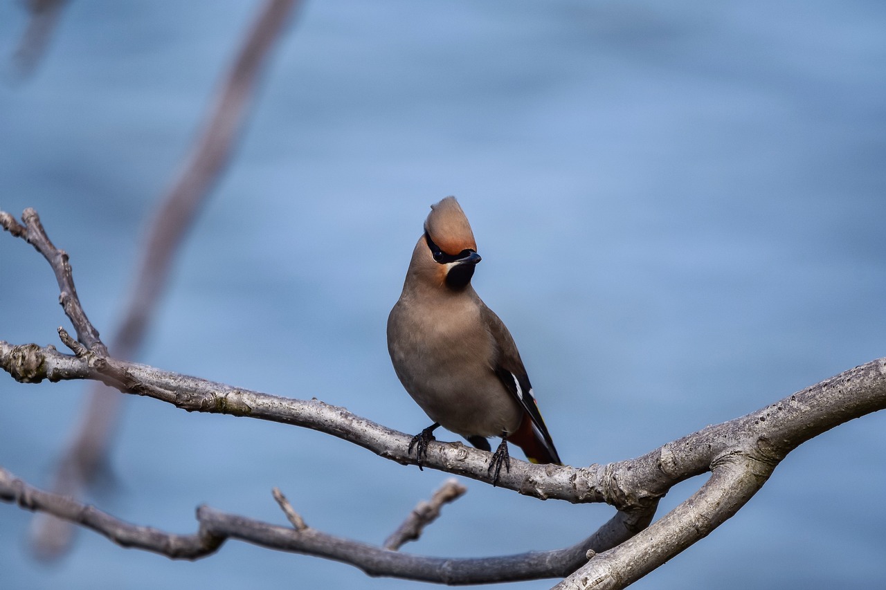 Washington Post streicht Sportabteilung im Zuge von Massenentlassungen